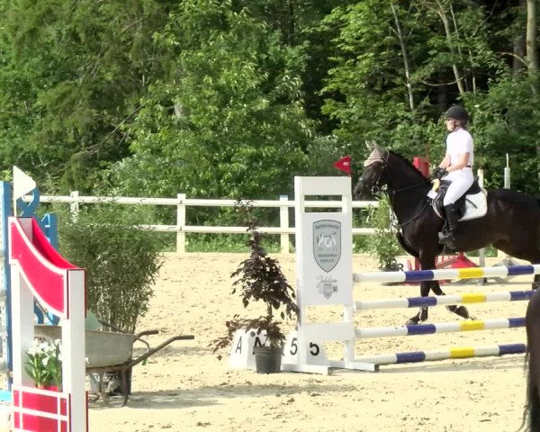 Reitturnier Nordstetten- Horb 2021