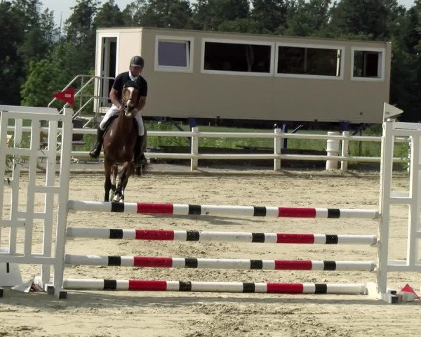 Reitturnier Nordstetten- Horb 2021