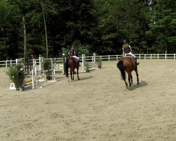 Reitturnier Nordstetten- Horb 2021