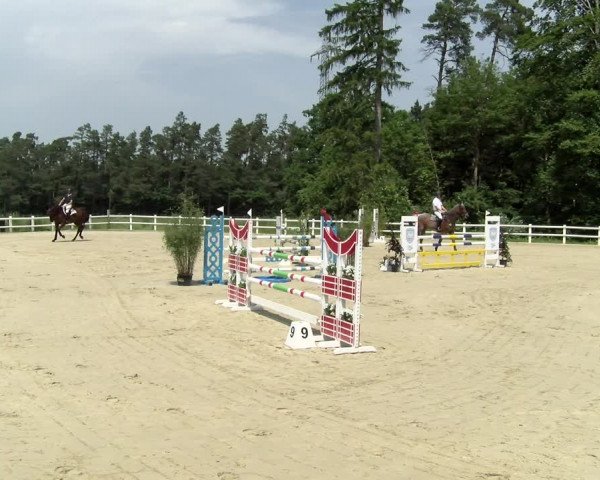 Reitturnier Nordstetten- Horb 2021