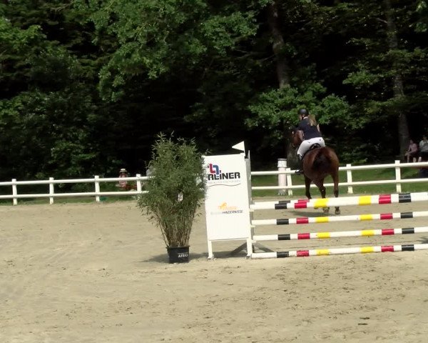 Reitturnier Nordstetten- Horb 2021