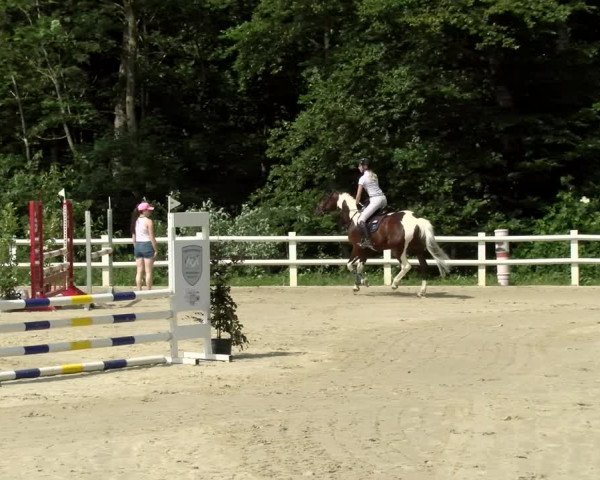 Reitturnier Nordstetten- Horb 2021