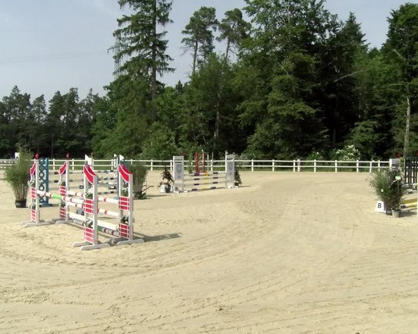 Reitturnier Nordstetten- Horb 2021