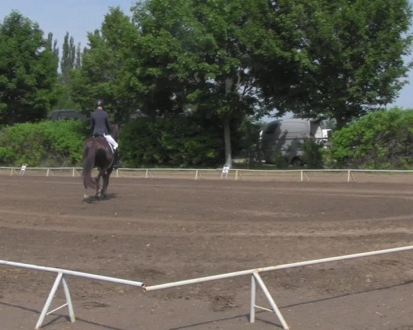 Reitturnier Westeregeln 2021