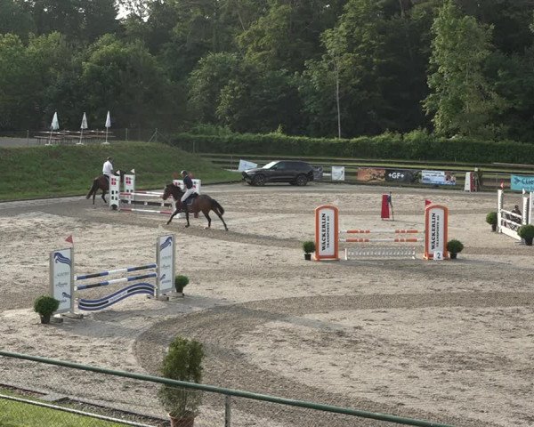 Reitturnier Schaffhausen 2021