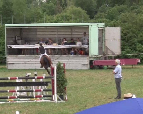 Reitturnier Bad Windsheim/Mfr. 2021