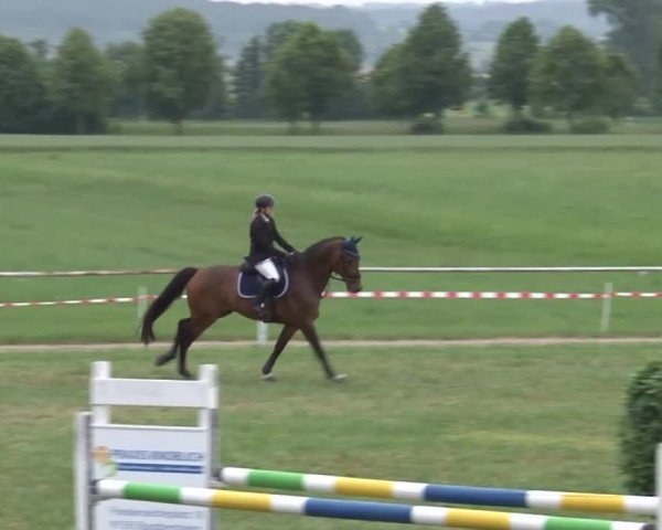 Reitturnier Bad Windsheim/Mfr. 2021