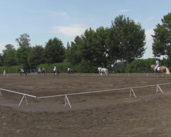 Reitturnier Westeregeln 2021