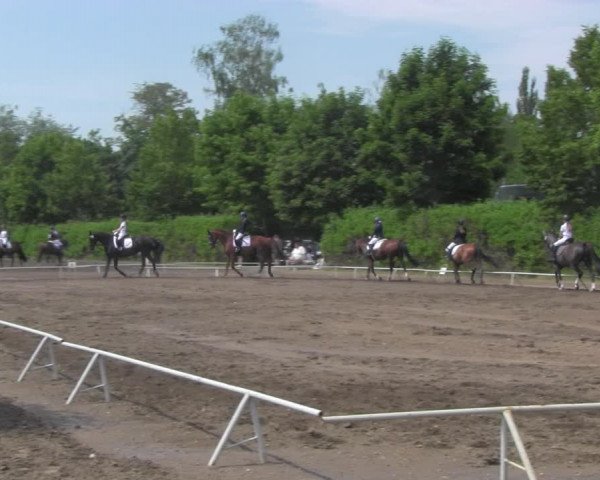 Reitturnier Westeregeln 2021