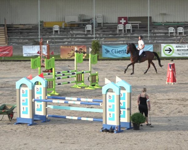 Reitturnier Schaffhausen 2021