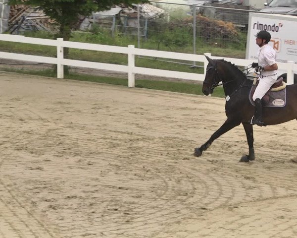 Reitturnier - Leutkirch-Diepoldshofen 2021
