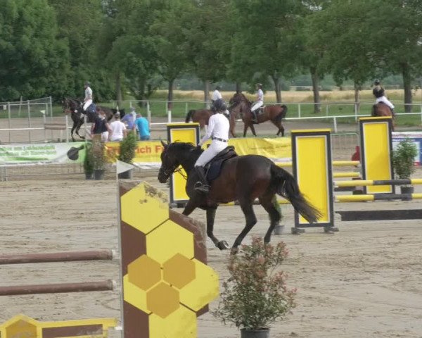 Reitturnier Biebesheim 2021