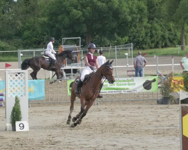 Reitturnier Biebesheim 2021