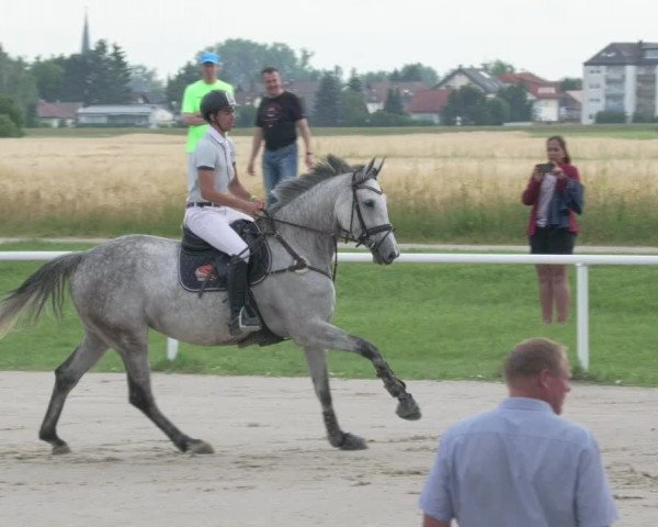 Reitturnier Biebesheim 2021