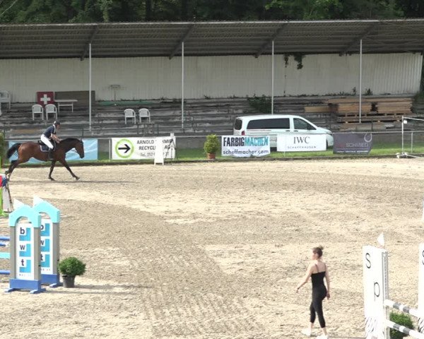 Reitturnier Schaffhausen 2021