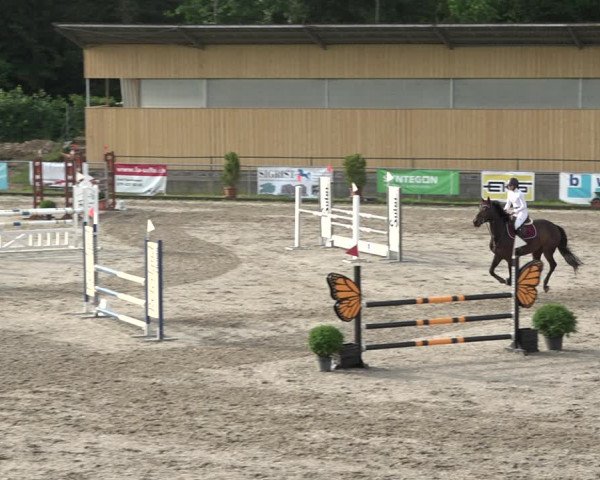Reitturnier Schaffhausen 2021
