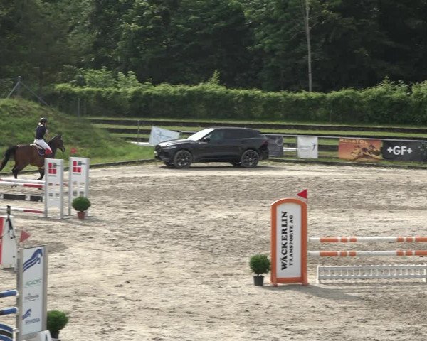 Reitturnier Schaffhausen 2021