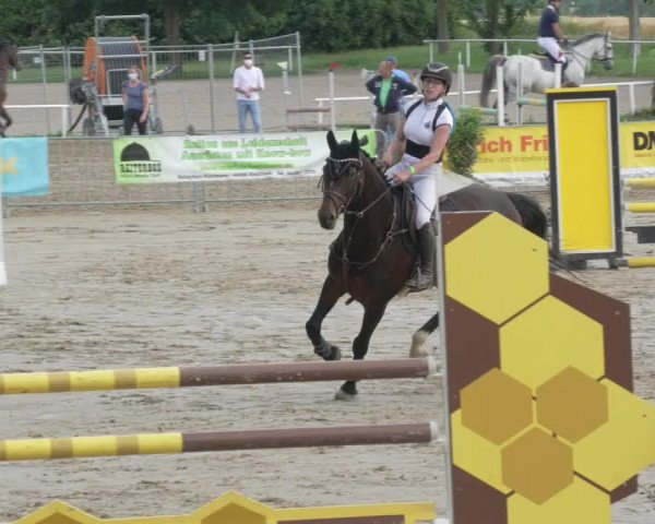 Reitturnier Biebesheim 2021