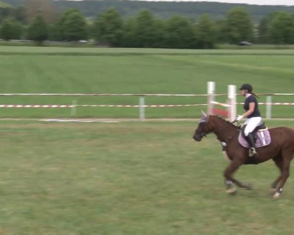 Reitturnier Bad Windsheim/Mfr. 2021