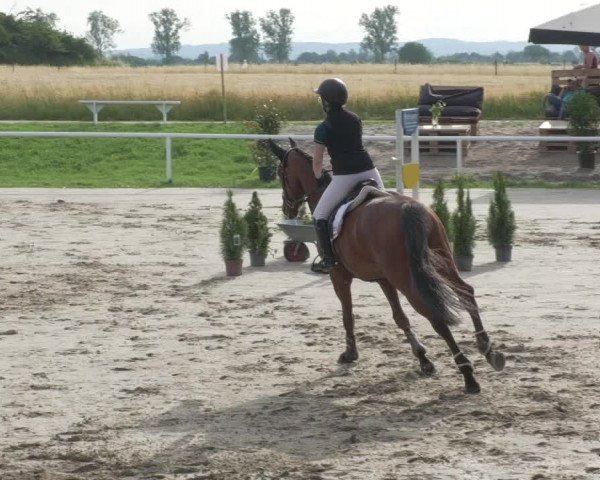 Reitturnier Biebesheim 2021