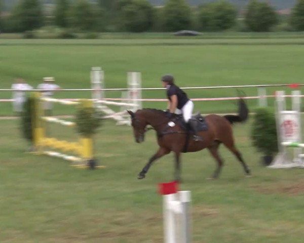 Reitturnier Bad Windsheim/Mfr. 2021