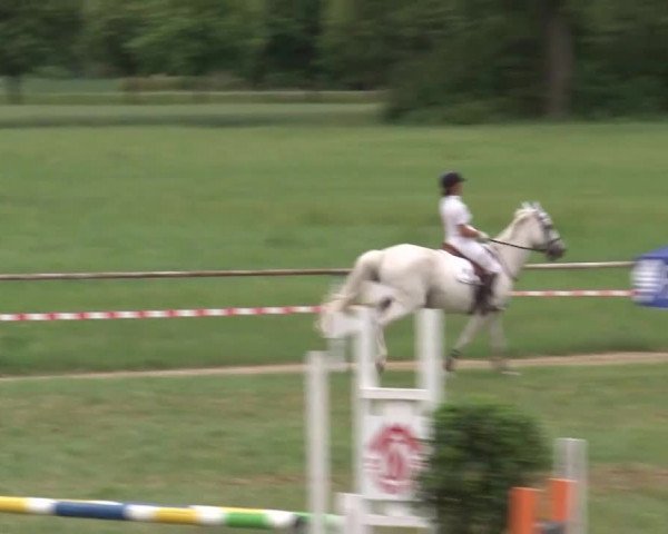 Reitturnier Bad Windsheim/Mfr. 2021