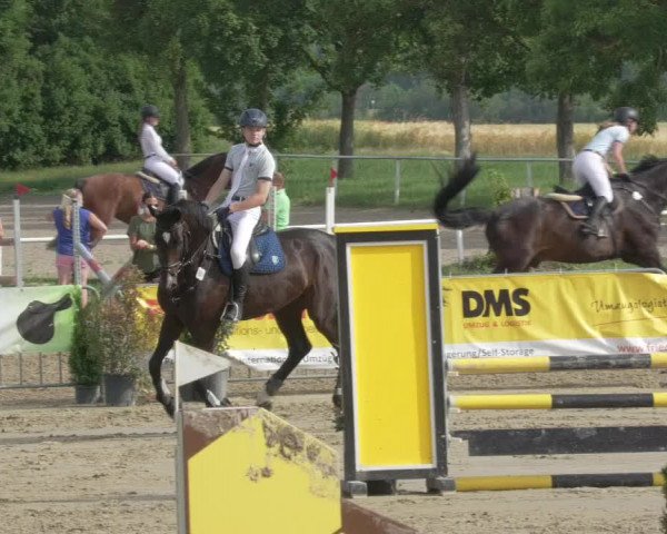 Reitturnier Biebesheim 2021