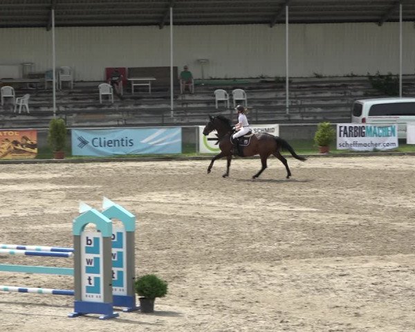 Reitturnier Schaffhausen 2021