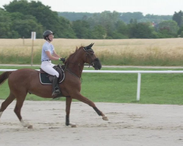 Reitturnier Biebesheim 2021