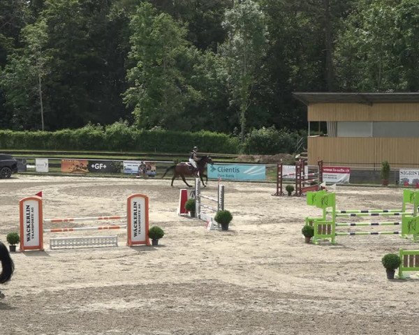 Reitturnier Schaffhausen 2021