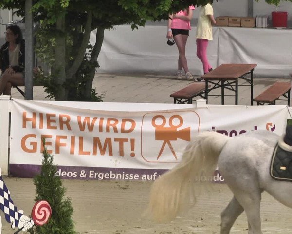 Reitturnier - Leutkirch-Diepoldshofen 2021