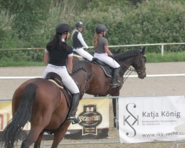 Reitturnier Biebesheim 2021