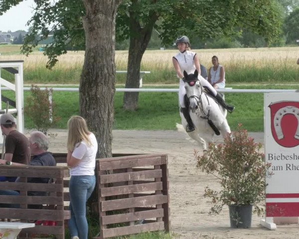 Reitturnier Biebesheim 2021