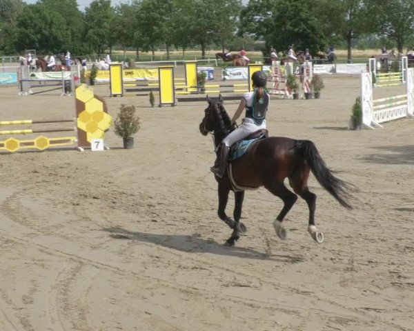 Reitturnier Biebesheim 2021