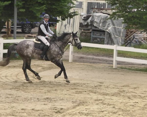 Reitturnier - Leutkirch-Diepoldshofen 2021
