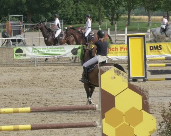 Reitturnier Biebesheim 2021