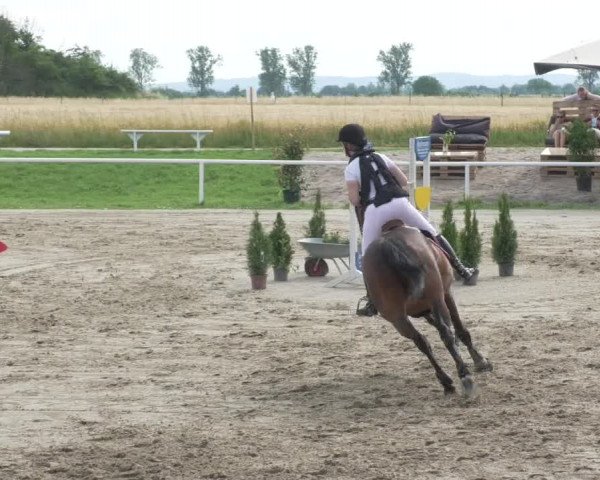 Reitturnier Biebesheim 2021