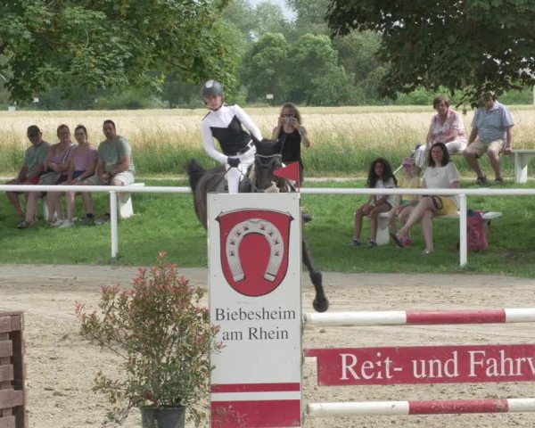 Reitturnier Biebesheim 2021