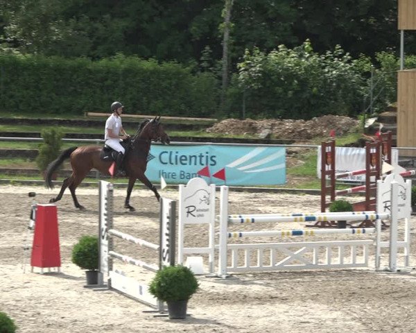 Reitturnier Schaffhausen 2021