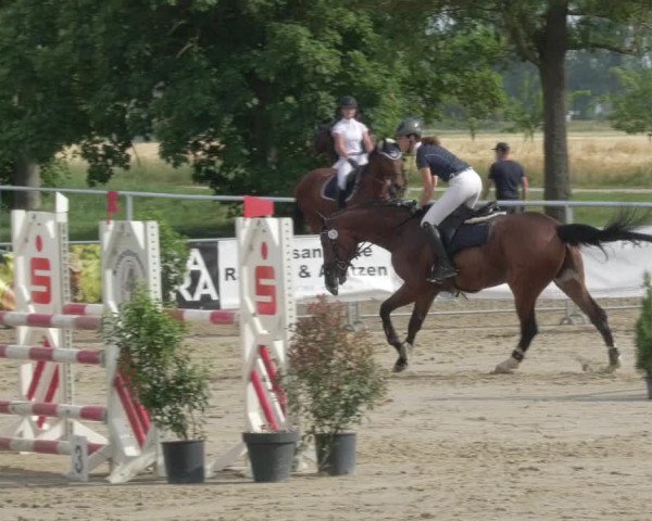 Reitturnier Biebesheim 2021