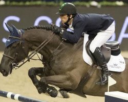 Springpferd Extra van Essene (Belgisches Warmblut, 2004, von Diamant de Semilly)