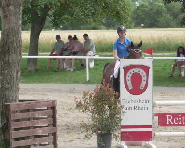 Reitturnier Biebesheim 2021