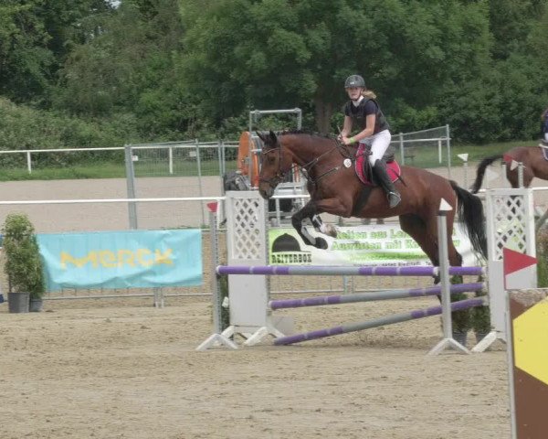Reitturnier Biebesheim 2021
