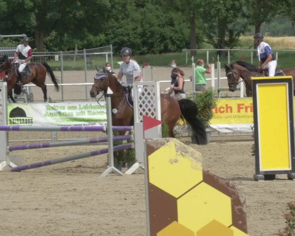 Reitturnier Biebesheim 2021