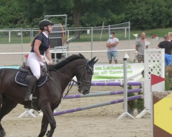 Reitturnier Biebesheim 2021