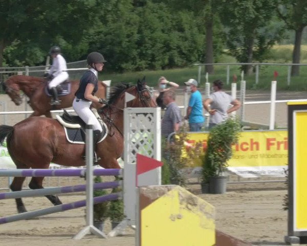Reitturnier Biebesheim 2021