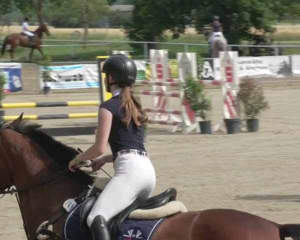 Reitturnier Biebesheim 2021