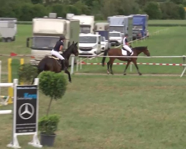 Reitturnier Bad Windsheim/Mfr. 2021