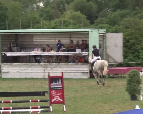 Reitturnier Bad Windsheim/Mfr. 2021