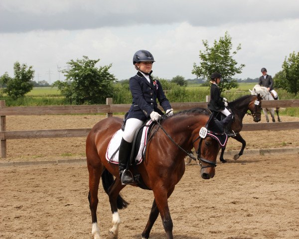 Zuchtstute Mayfair (Deutsches Reitpony, 1999, von Hondsrug Don Gregory)